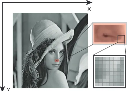 Figura 2.8 – Imagem em tons de cinzento “Lena” com destaque para uma regi˜ao de 14x24 e 8x8 pixels.