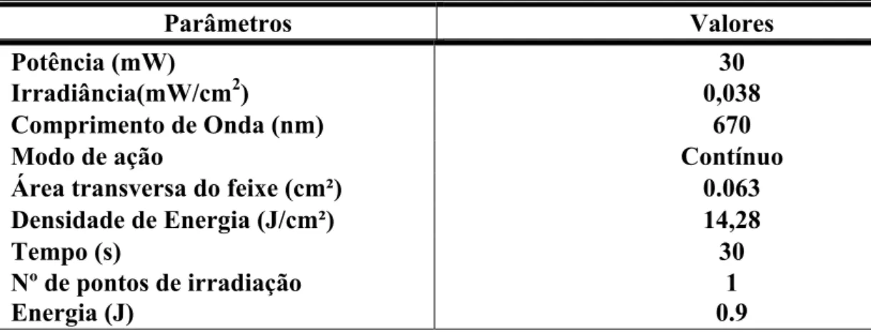 Tabela 1: Parâmetros detalhados utilizados para o tratamento com a FBM. 