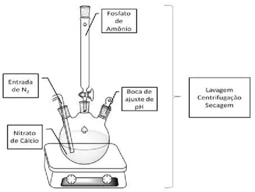 FIGURA  3.2:  Esquema  de  síntese  para  a  amostra  de  hidroxiapatita  obtida  por  coprecipitação