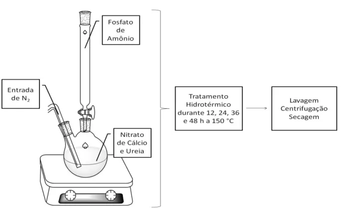 FIGURA  3.3:  Esquema  de  síntese  para  a  amostra  de  hidroxiapatita  obtida  por  coprecipitação seguida de tratamento hidrotermal na presença de ureia