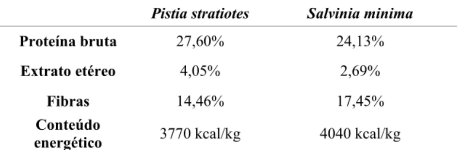 Tabela 2- Composição química e conteúdo energético (valor calórico) da biomassa seca das  macrófitas Pistia stratiotes e Salvinia minima
