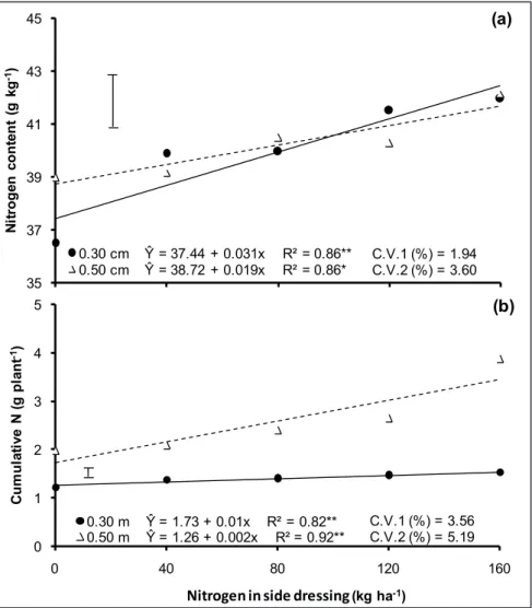 Figure 3. Nitrogen content (a) and cumulative N (b) in the shoots of Swiss chard grown at 0.30  (●) and 0.50 m (D) plant spacing with different doses of nitrogen application in side dressing  (teor de nitrogênio (a) e N acumulado (b) na parte aérea de plan