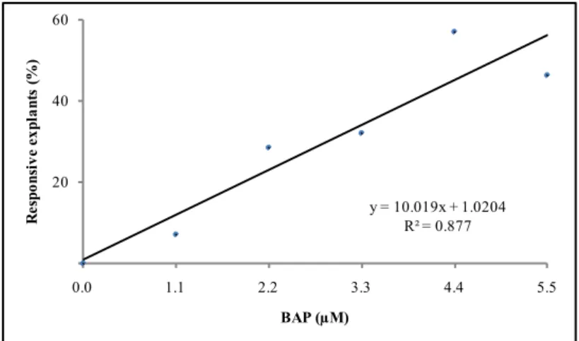 Figure 1.  Efficiency of  in vitro organogenesis of Cucurbita pepo cv. Caserta considering  culture media supplementation with different concentrations of benzylaminopurine (BAP)  (eficiência da organogênese in vitro de Cucurbita pepo cv