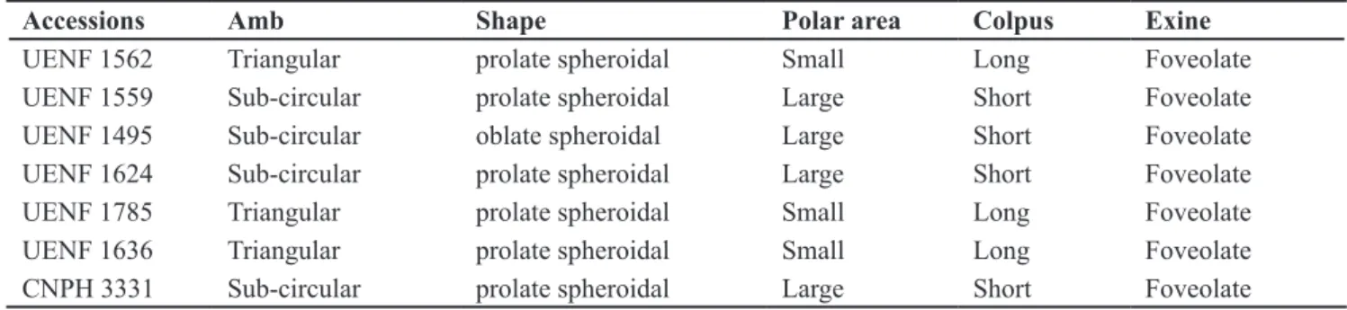 Table 1. Quantitative data of pollen grains of accessions of Capsicum (dados quantitativos  dos grãos de pólen dos acessos de Capsicum)