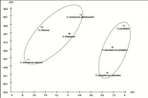 Figure 3.  Graphic dispersion of the accessions based on the first two principal components  (dispersão gráfica dos acessos com base nos dois primeiros componentes principais)
