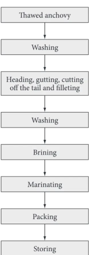 Figure 1. Marinating process of Engraulis anchoita.