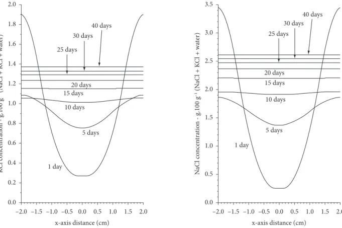 Figure 4. Saline distribution profile for NaCl and KCl during the 40-day ripening period, obtained through simulation.
