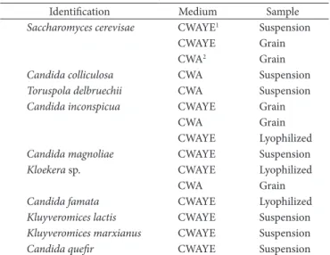 Table 2. Characteristics of yeasts in grain, suspension, and lyophilized  kefir samples, cultivated in Coconut Water Agar with Yeast Extract and  Coconut Water Agar at 35.5 °C.