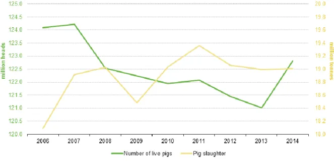 Gráfico 1. Produção e abate no sector suíno desde 2006 a 2014 na UE.   