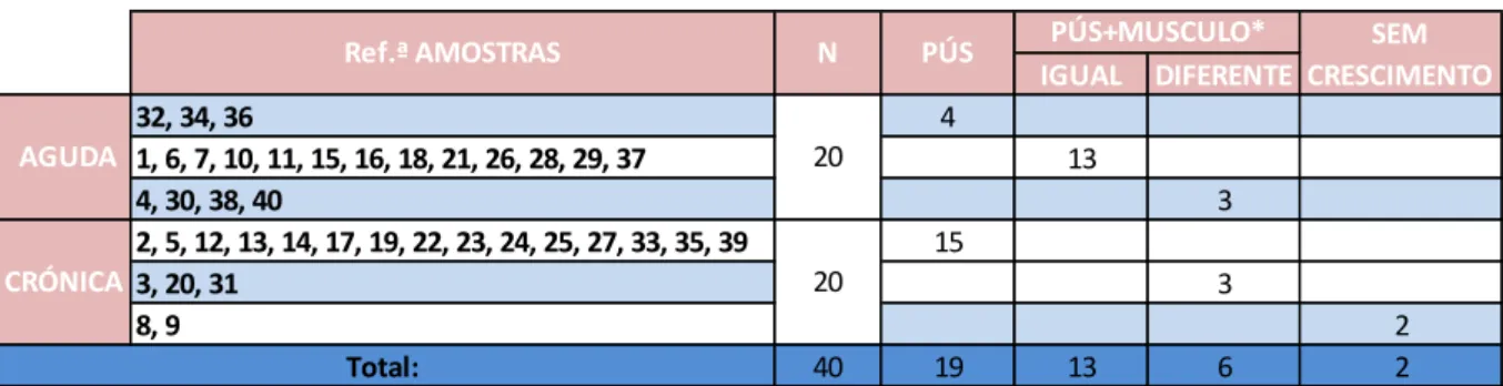 Tabela 14. Agentes isolados nas amostras de pús e músculo analisadas. 