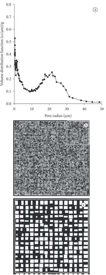 Figure 3. a) Pore size distribution of carrot determined by mercury  porosimetry (KARATHANOS; KANELLOPOULOS; BELESSIOTIS,  1996); b)  Bidimensional pattern of carrot cells, general view,  10 × 10 cm; c) larger view.