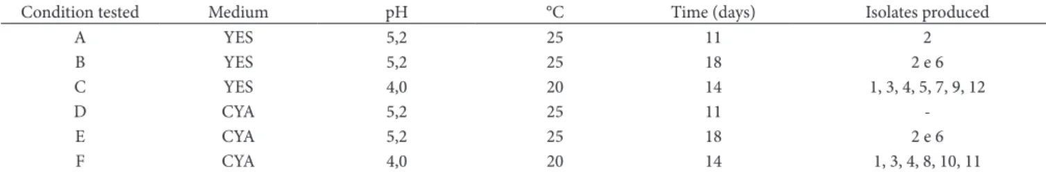 Table 2. Aflatoxin-producing ability: Analysis of non-aflatoxigenic isolates under different conditions.