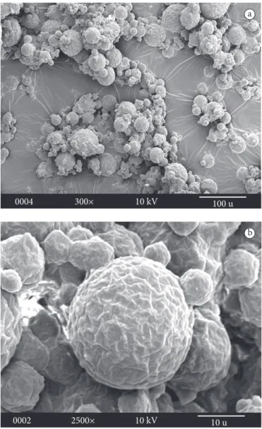 Figure  1.  Micrographies  of  lipid  microparticles  containing  glucose  obtained by scanning electron microscope a) formulation 4 (300×); 