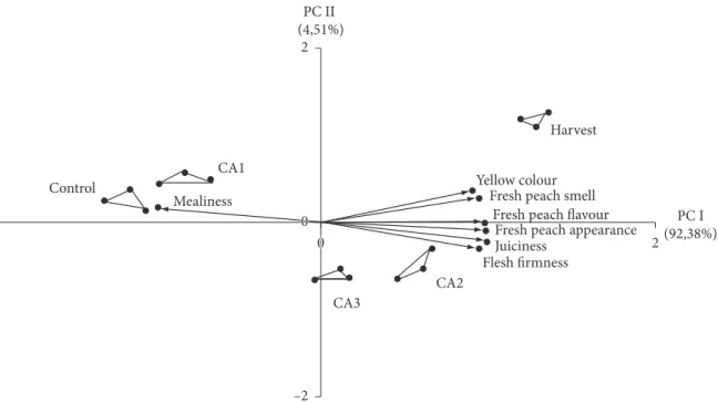 Figure 4. PCA of sensory data of 'Douradão' peaches aft er 28 days cold storage at 1 ± 1 °C under CA plus 4 days ripening in air at 25 °C