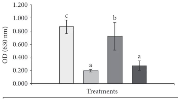 Figure 1. Comparison of the optical density of antifungal assay  after 48 hours using: negative control (YM agar  +  water); positive  control [thiabendazole (8.05 µg mL –1 )]; DMSO (5%); capsaicin  (122.16 µg mL –1 )