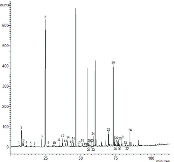 Figure 2. Chromatogram of volatile compounds captured by SPME of pineapple residue distillate previously treated by hydrodistillation by  passing nitrogen gas.