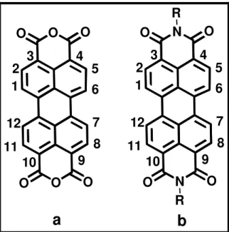 Figura 1.3: As estruturas químicas para o corante 3,4,9,10 – perilenotetracarboxilíco dianidrido  (PTCDA) (a) e o respectivo perileno diimida funcionalizado com aminas (b)