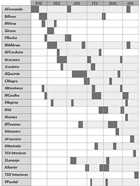 Figura 15. Tabela de atividades desenvolvidas em estágio. Fonte: Autor.  