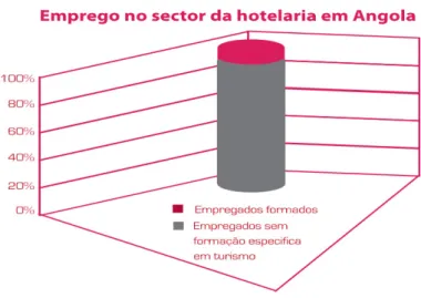 Gráfico 5 – Nível de formação dos recursos humanos na hotelaria em Angola, 2009 