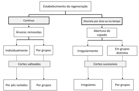Figura 4 - Classificação dos sistemas de regeneração e corte, aplicados a povoamentos orientados para a  produção de cortiça