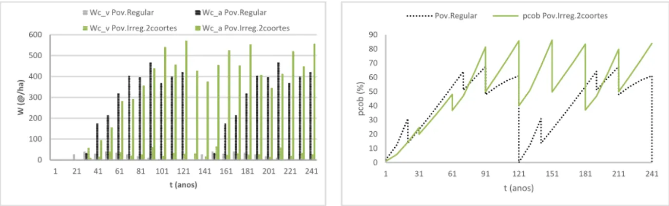 Figura 21 – Comparação da produção de biomassa de cortiça virgem e amadia (Wc_v/Wc_a, respetivamente) e  da percentagem de coberto (pcob) em povoamentos puros regulares e irregulares com 2 coortes de sobreiro