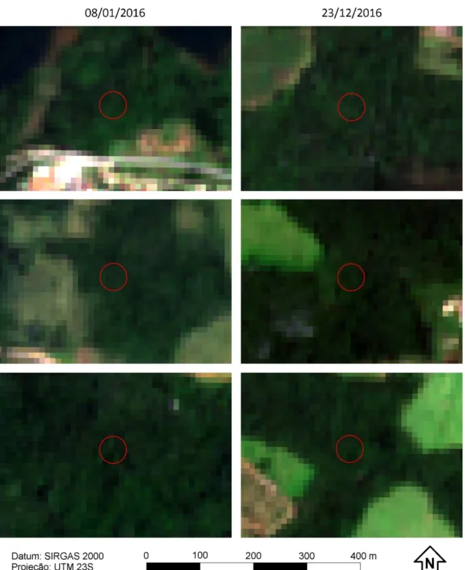 Figura 6 – Recortes da composição RGB (bandas 2, 3 e 4) das imagens do Sentinel 2 com detalhe de  alguns dos buffers gerados (vermelho) com 25 metros de raio para representar as parcelas de campo