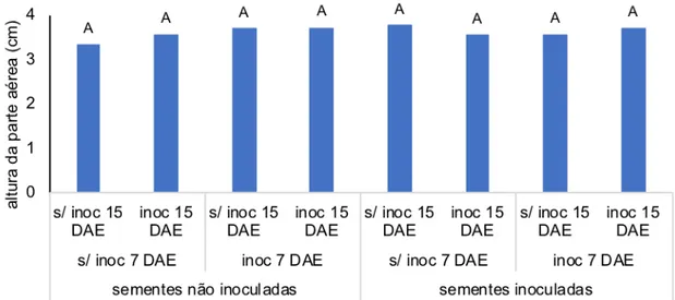 Figura 1. Altura média das mudas de alface cultivadas em casa-de-vegetação. 