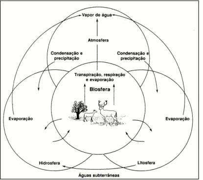 Figura  6:  Representação  esquemática  do  ciclo  Hidrológico  (adaptado de Carapeto, 1994: 102) 
