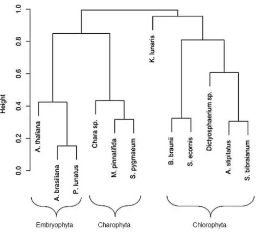 Figura  2.3  Dendograma  gerado  por  análise  de  agrupamento  hierárquico  (HCA)  das  espécies da linhagem verde mostrando diferenças nas concentrações de oxilipinas entre  plantas  terrestres  e  algas  verdes  das  divisões  Chlorophyta  e  Charophyta
