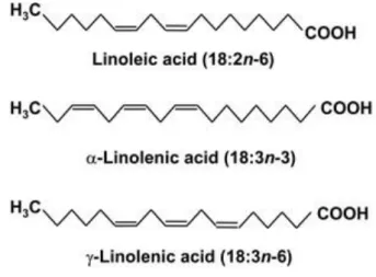 Figura  1.1  Principais  ácidos  graxos  poli-insaturados  envolvidos  na  formação  de  oxilipinas em algas verdes