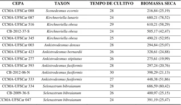 Tabela 1.2 Relação dos tempos de cultivo (em dias) até a fase estacionária de crescimento  (dados baseados em curvas de crescimento) e valores (em mg) das biomassas das cepas  de microalgas estudadas