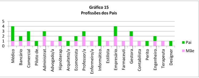 Gráfico 15  Profissões dos Pais