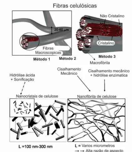 Figura  2.5  -  Três  métodos  de  desintegração  de  fibras  macroscópicas  de  celulose  em  fibras  em  escala  nano:  nano  cristais  de  celulose  (NCC)  e  nanofibrilas de celulose (NFC)