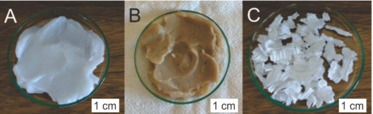 Figura  3.1  -  Fotografias  de  fibras  celulósicas  utilizadas  nesse  trabalho;  a)  nanofibrila de celulose (NFC); b) nanofibrila lignocelulósica(NFLC); c) Fibra de  celulose (FC)