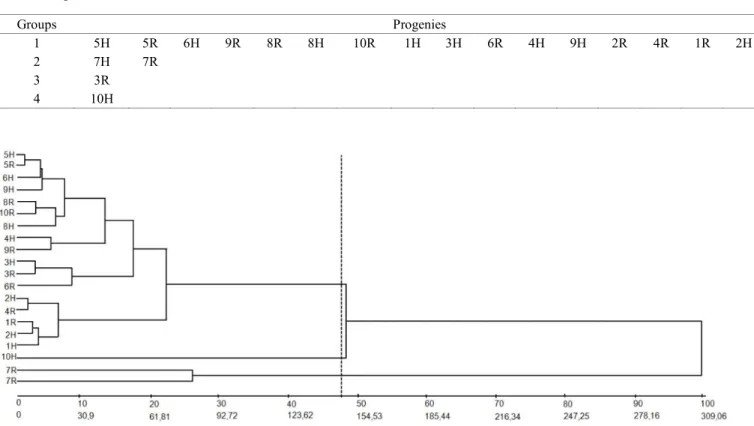 Figure 1.  Dendrogram illustrating the analysis of 20 passion fruit progenies (10 hybrids and their 10 reciprocals) by unweighted  pair group method obtained with the Mahalanobis generalized distance.