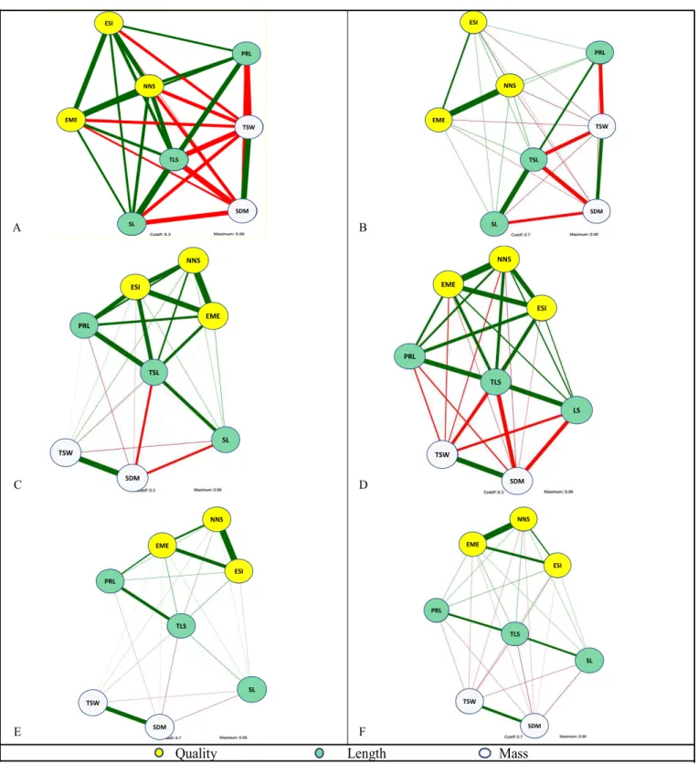 Figure 2.  Phenotypic correlation network of characteristics grouped in quality, length and mass in the evaluation of passion  fruit emergence and vigor
