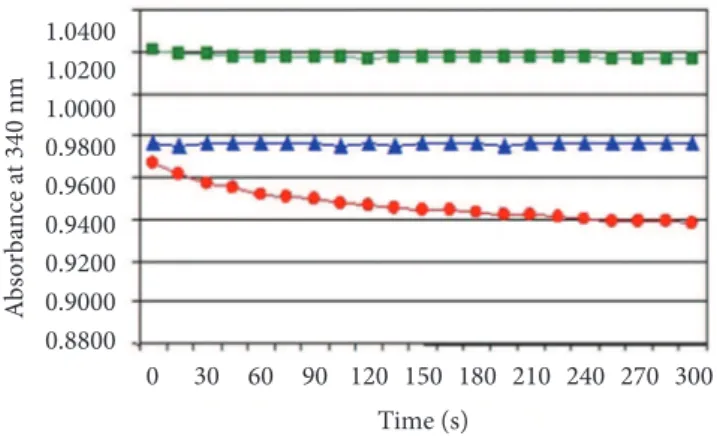 Figure 2. Influence of different pre-incubation conditions of the  reaction medium on NADPH absorbance at 340  nm (GSH-Px  enzymatic activity) during the reaction period