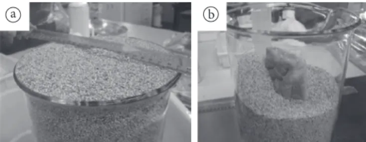 Figure 3. a) Leveling of pearl millet seeds in becher; and b) measurement  of cake in central and vertical with aft er fi lling and leveling of pearl  millet.