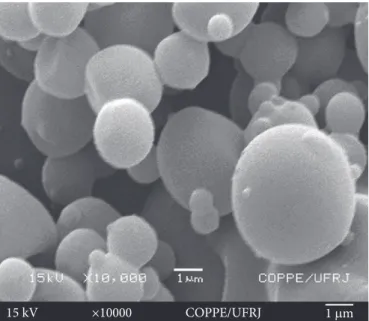 Figure 3 shows the micrograph of the microcapsules  obtained by the microencapsulation process in trial 2.