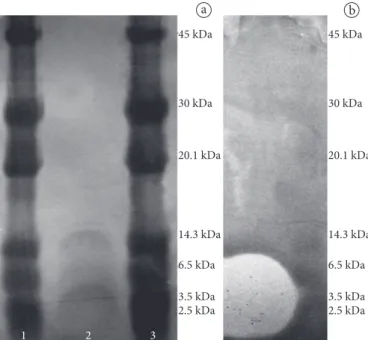 Figure 2. Growth kinetics and bacteriocin production by Enterococcus faecium 130 in MRS broth at 37 °C.