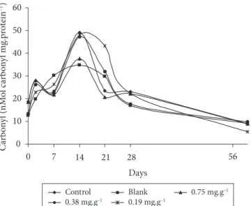 Figure 2. values of carbonyl (nmol Carbonyl mg -1  of protein) in the  internal part of the salami with different concentrations of basil oil, and  with and without commercial antioxidant, during 28 days of processing  and after 30 days of storage at 22 °C