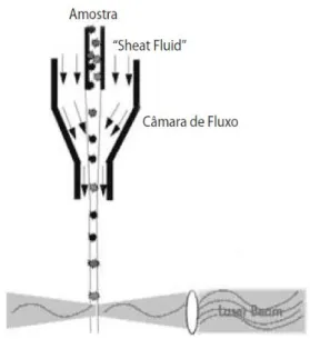 Figura 7 – Representação esquemática de uma câmara de fluxo. 