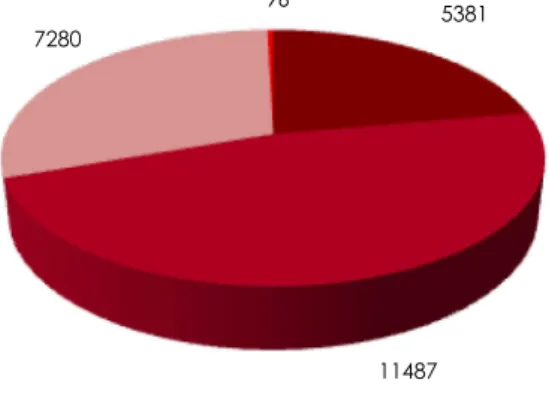 Figura 13 - Total de indivíduos abrangidos por projetos de RRMD, por região (N=24.244) 
