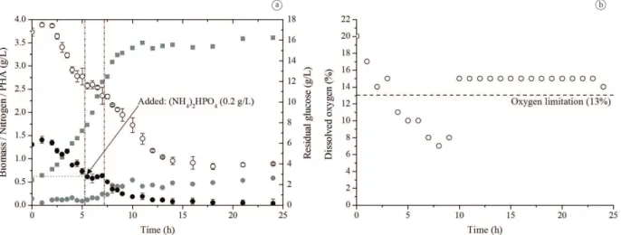Figure 3. Culture 3: (a) kinetics for biomass parameters (■), residual nitrogen (●), residual glucose (○) and PHA (●); (b) dissolved oxygen in  the culture medium.
