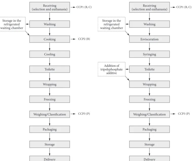 Figure 2. Process flow diagram of frozen whole cooked lobster in  Brazilian lobster processing industries