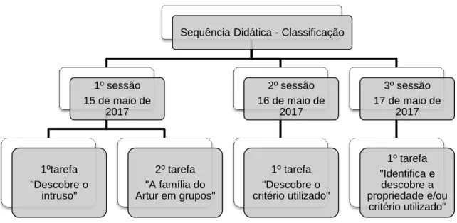 Fig. 6 Sequência Didática – Classificação 