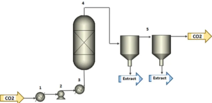 Figure 1. Scheme of the supercritical fluid extraction (SFE) process  coupled with separators