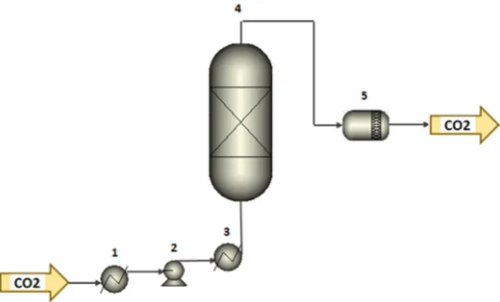 Figure 2. Scheme of the supercritical fluid extraction (SFE) process  coupled with an adsorptive column