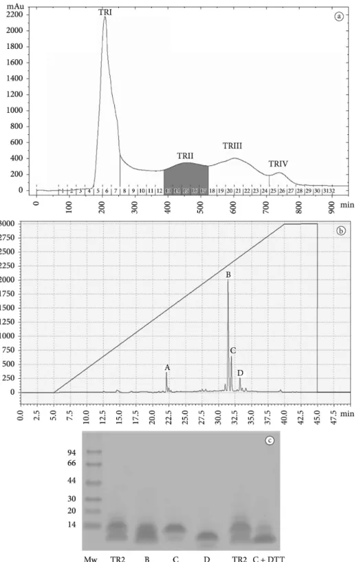 Figure 2. (a) Gel filtration of the CqTi on Superdex G-50 on FPLC system. (b) Elution profiles for RP-HPLC analysis of C