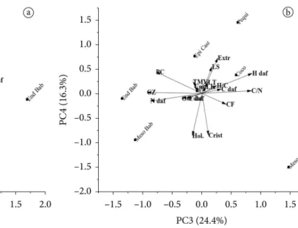 Figure 3. Principal component analysis (a) scores and (b) loadings.